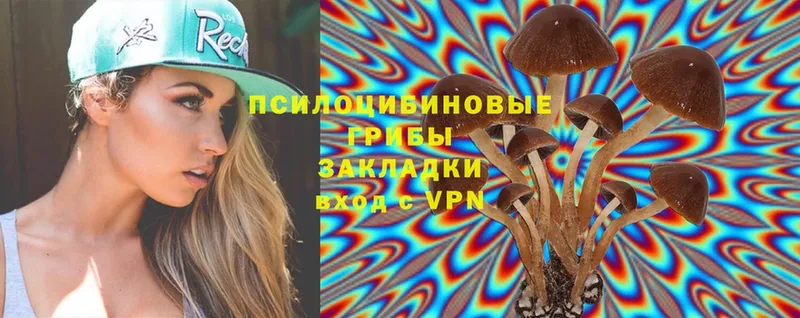 Галлюциногенные грибы Magic Shrooms  нарко площадка Telegram  Пудож 